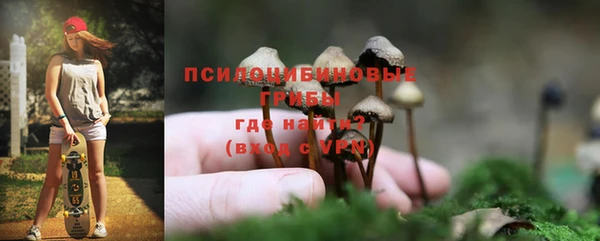 эйфоретик Абинск