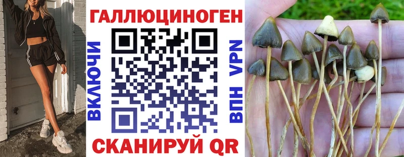 закладки  Нерехта  Псилоцибиновые грибы мухоморы 